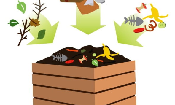 Composting benefits