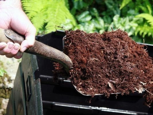 consider composting