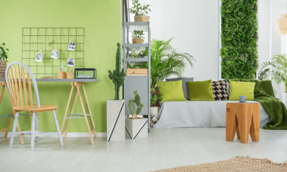 green house and homes