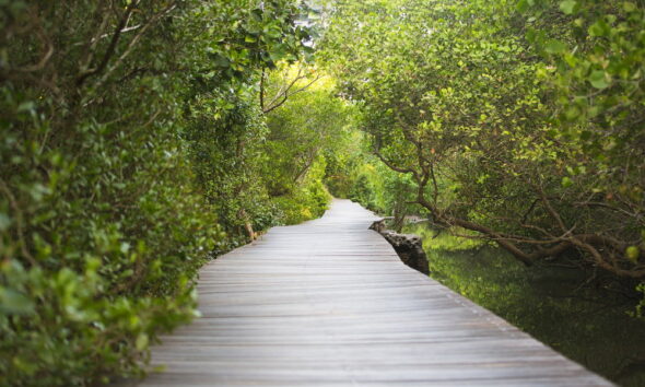 eco-tourism in australia