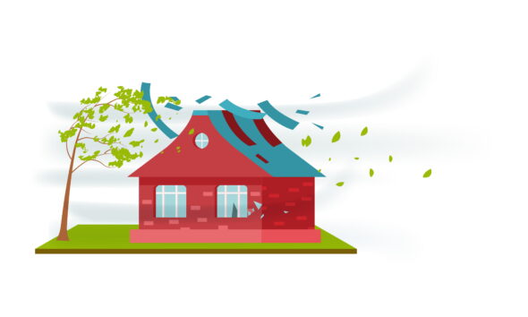 Environmental Catastrophes