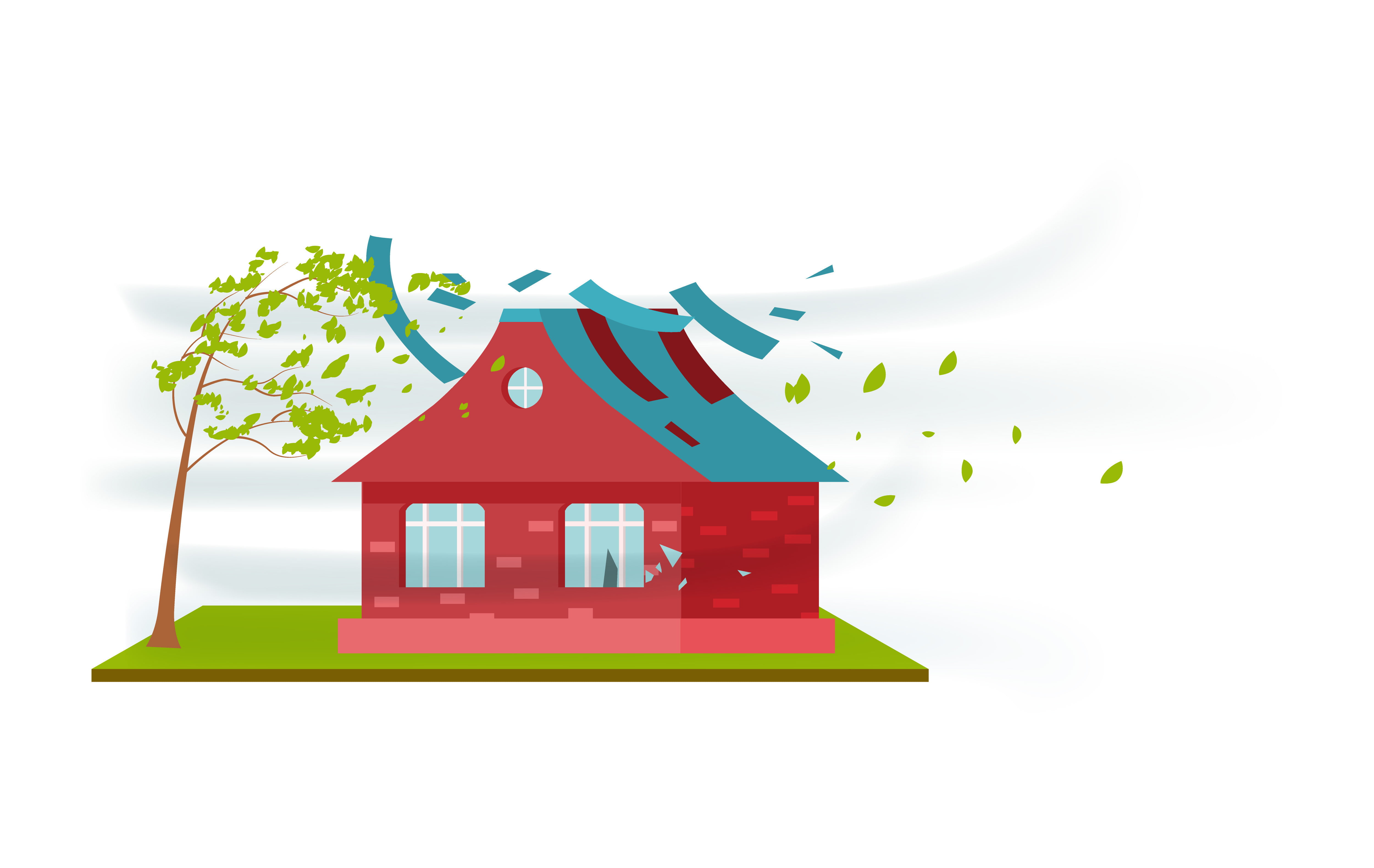 Environmental Catastrophes