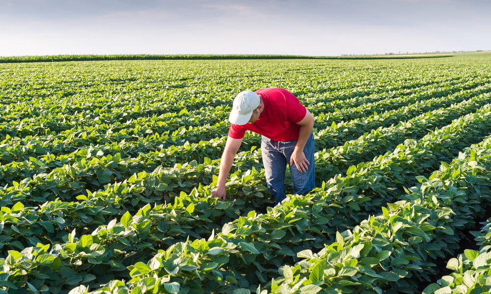 agriculture and farming industry