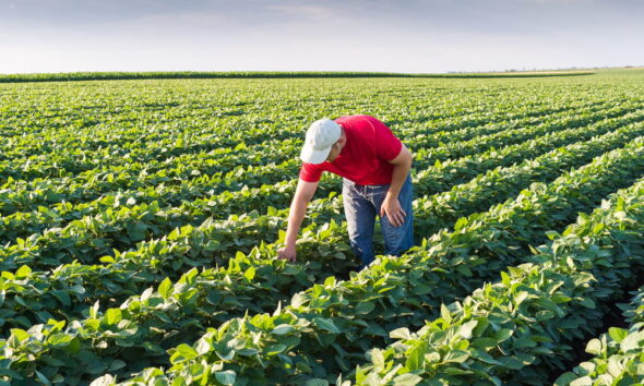 agriculture and farming industry