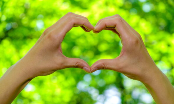 eco-friendly future and education