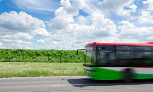 eco-friendly vacation