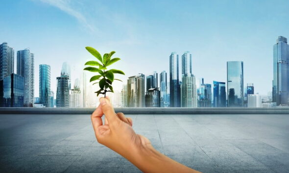 green building hiding Toxic Materials