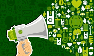 green marketing for sustainable business