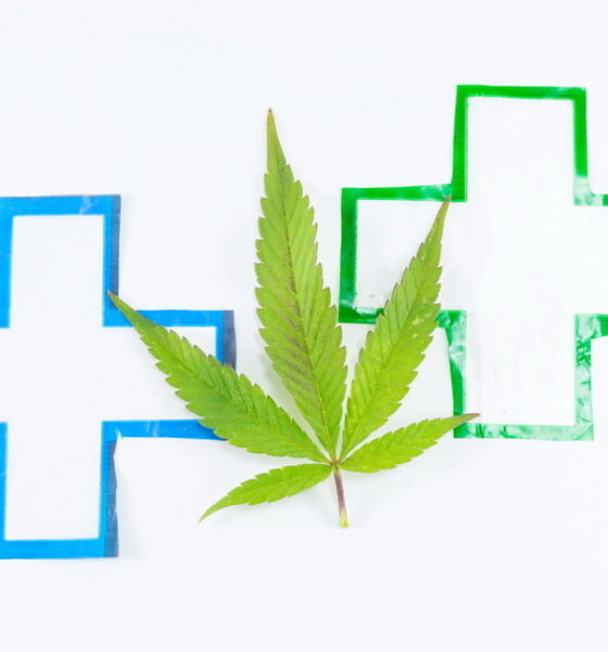 legal pot sustainability