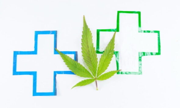 legal pot sustainability