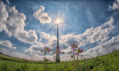 renewable energy options