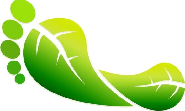 carbon footprint on internet