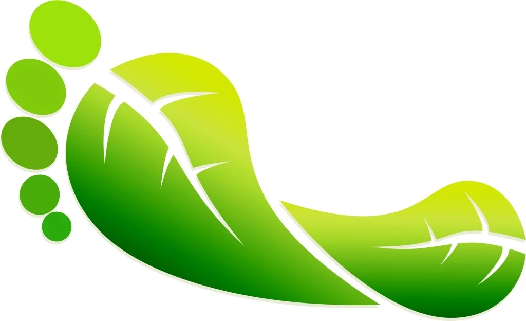 carbon footprint on internet