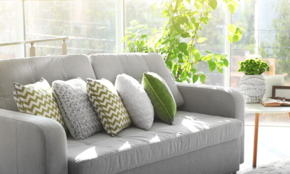 eco-friendly green living room