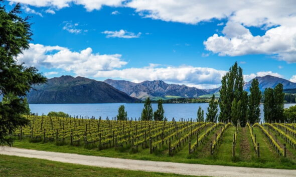 New Zealand green living