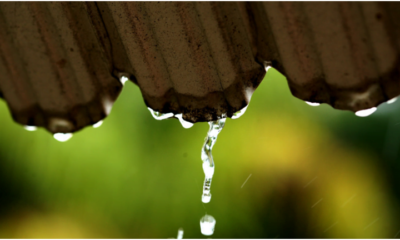 Why Rainwater Harvesting Is Now An Environmental Necessity