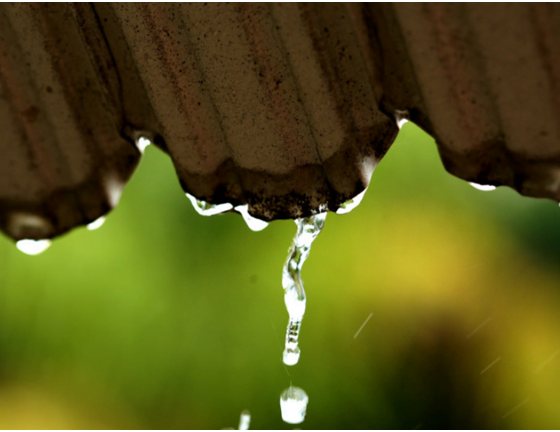Why Rainwater Harvesting Is Now An Environmental Necessity