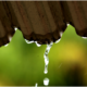 Why Rainwater Harvesting Is Now An Environmental Necessity