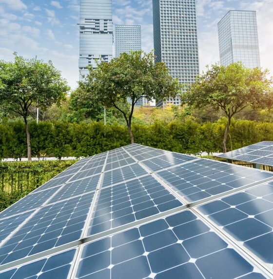 solar panels for clean energy alternatives