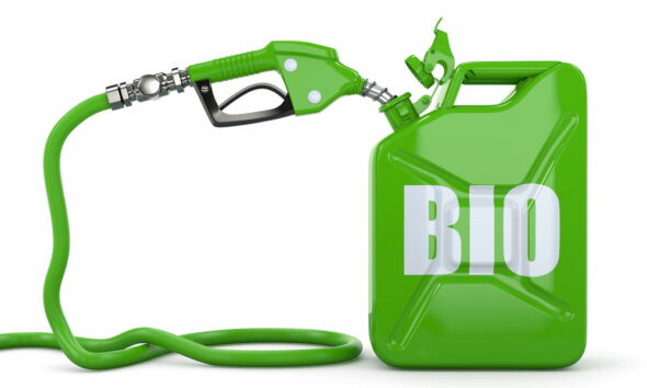 bio fuels are solutions to fuels alternatives