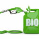 bio fuels are solutions to fuels alternatives