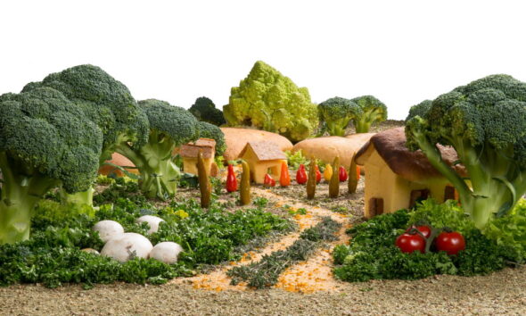 eco-friendly vegetable garden