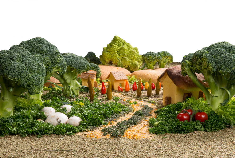eco-friendly vegetable garden