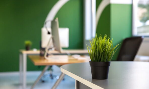 green workspace