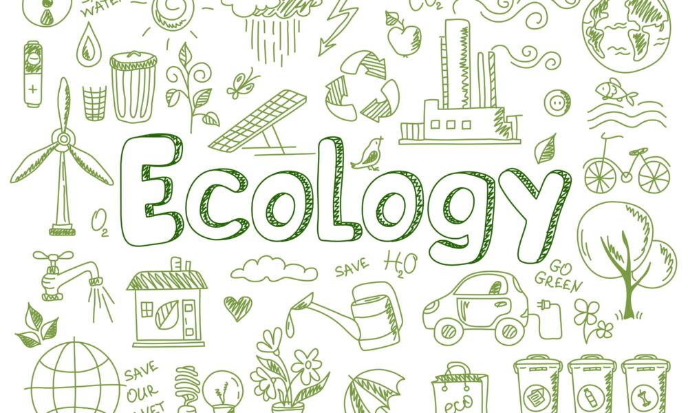ecologists study university