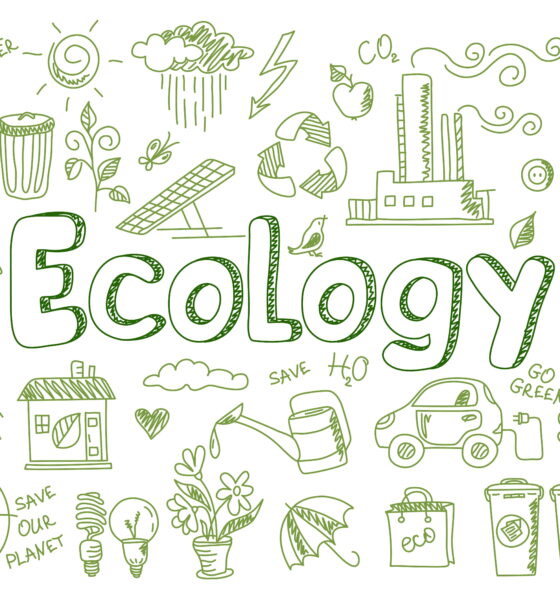 ecologists study university