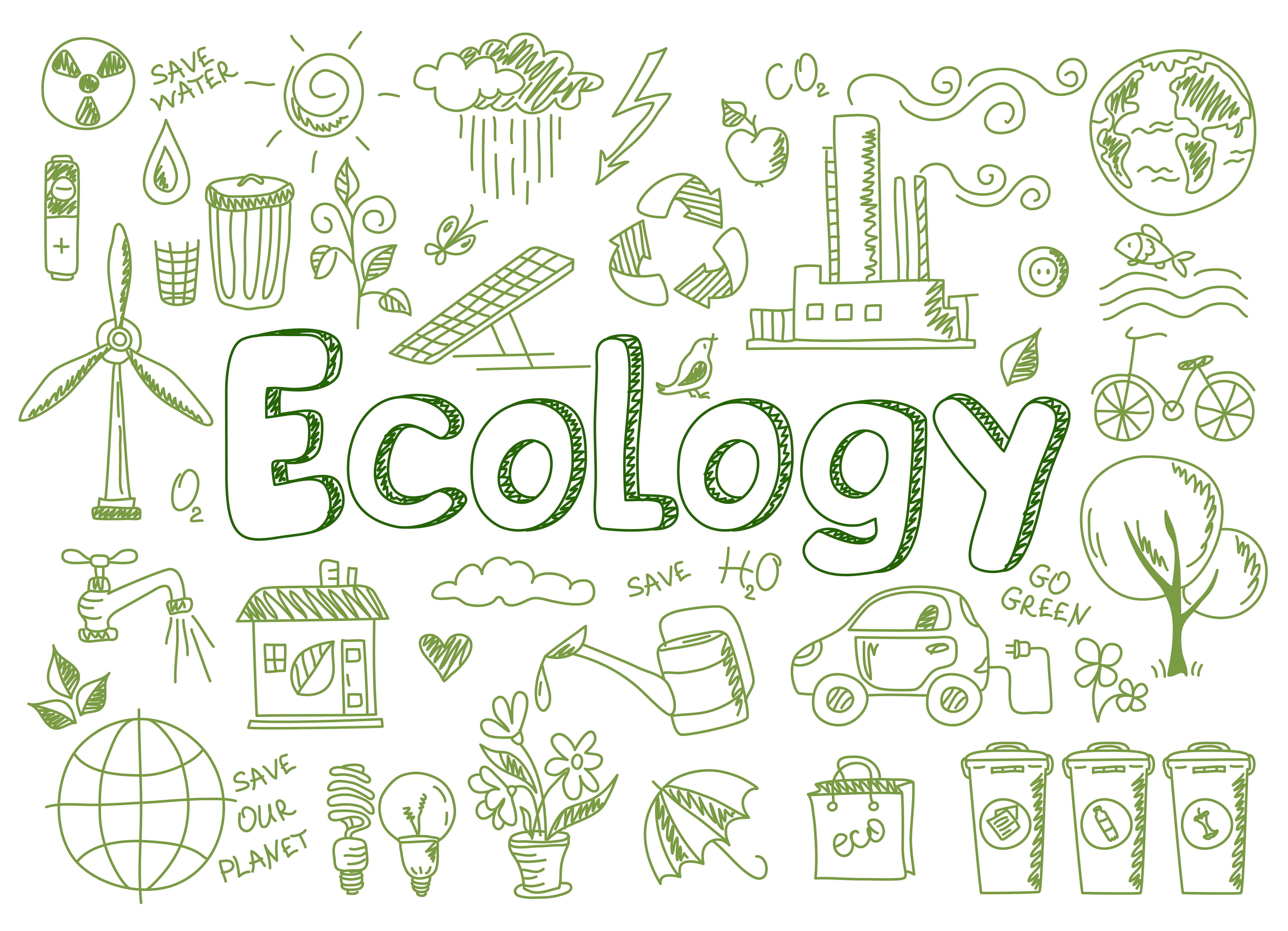 ecologists study university