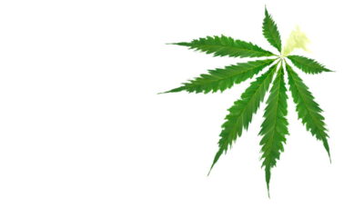 Eco-Friendly Cannabis