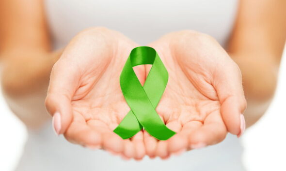 environmental charity and donation