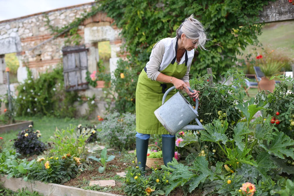 Why Is Gardening Considered A Good Hobby