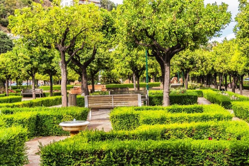 Seven Reasons to Plant Trees to Help the Environment