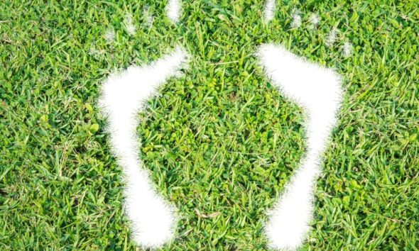 reduce carbon footprint