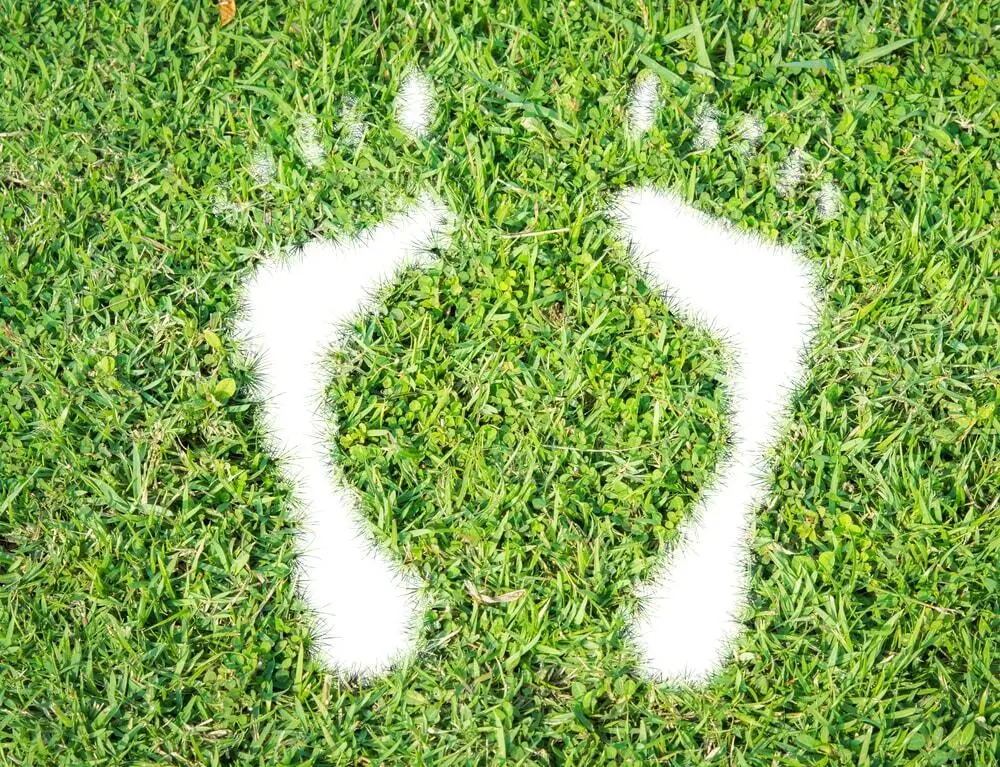 reduce carbon footprint