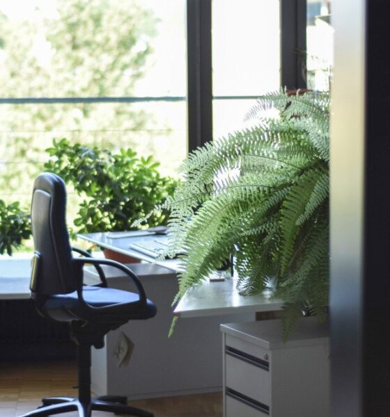 plantscaping corporate spaces