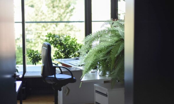 plantscaping corporate spaces