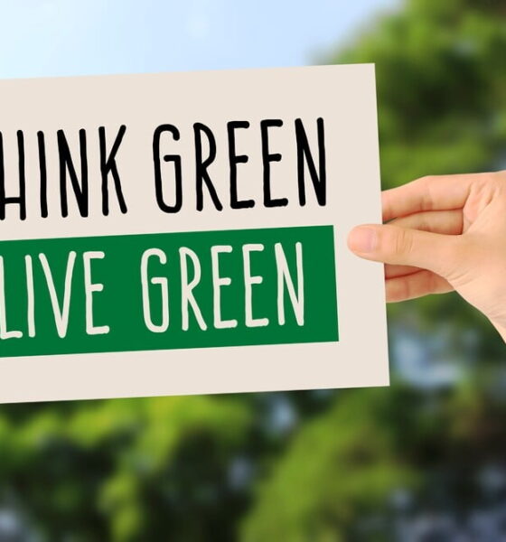 teach your child live green