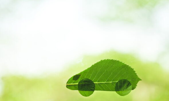 eco-friendly transportation