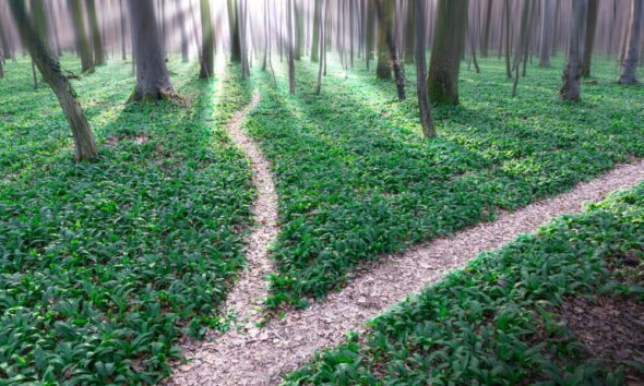 options for green living