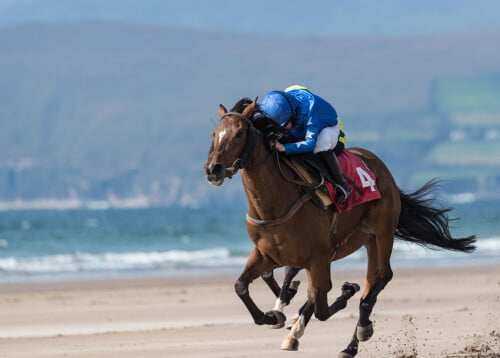Ethical Horse Racing: Here Are The 7 Most Ecofriendly Race ...