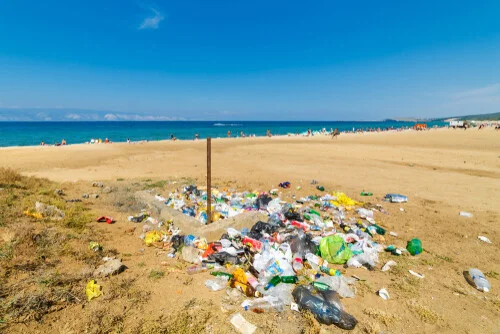 how bottled water harms the environment