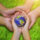 ways you can help the environment
