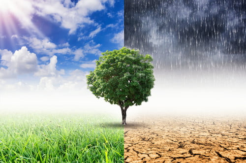 climate change and life insurance