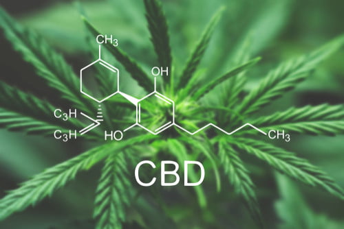 benefits of sustainable cbd oil