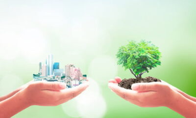 implementing eco-friendly solutions