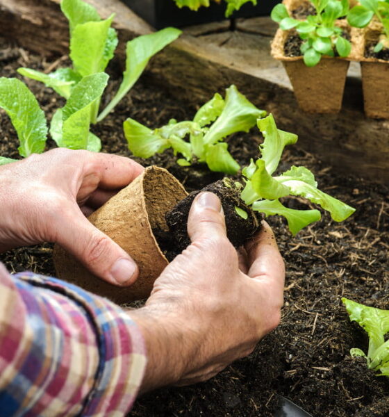 eco-friendly organic gardening