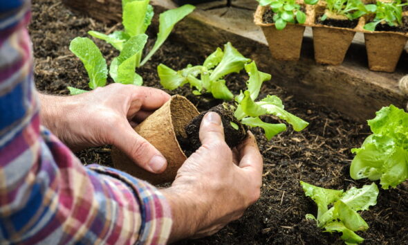 eco-friendly organic gardening